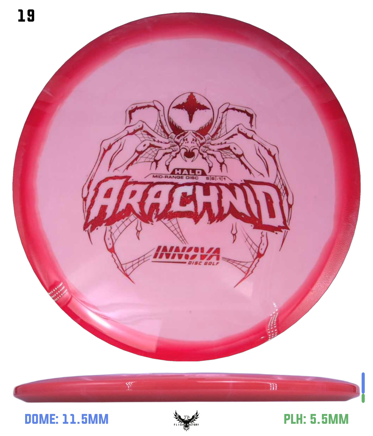 Innova Halo Star Arachnid