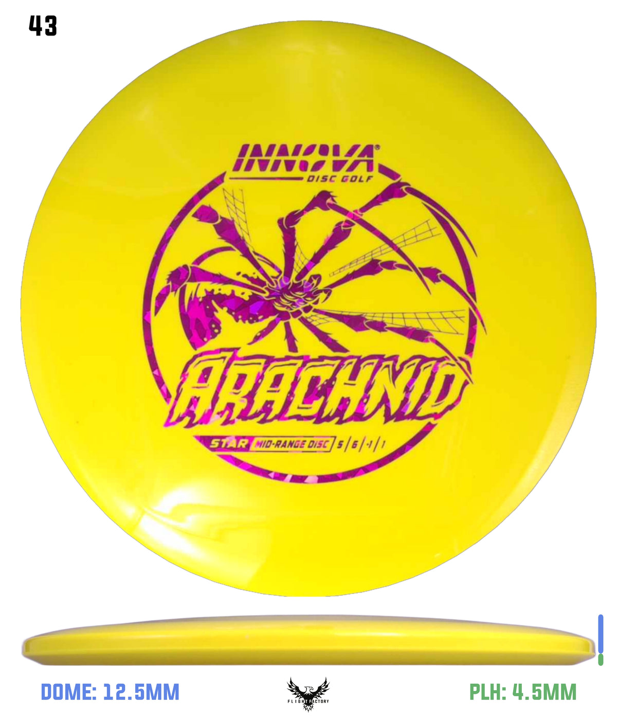 Innova Star Arachnid