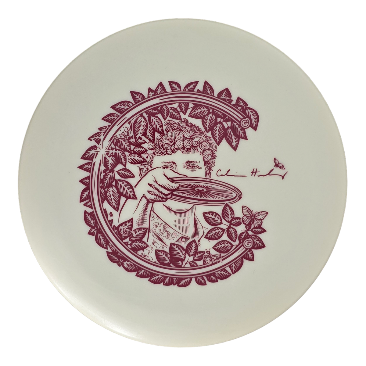 Innova KC Glow Aviar - Vinny Floral