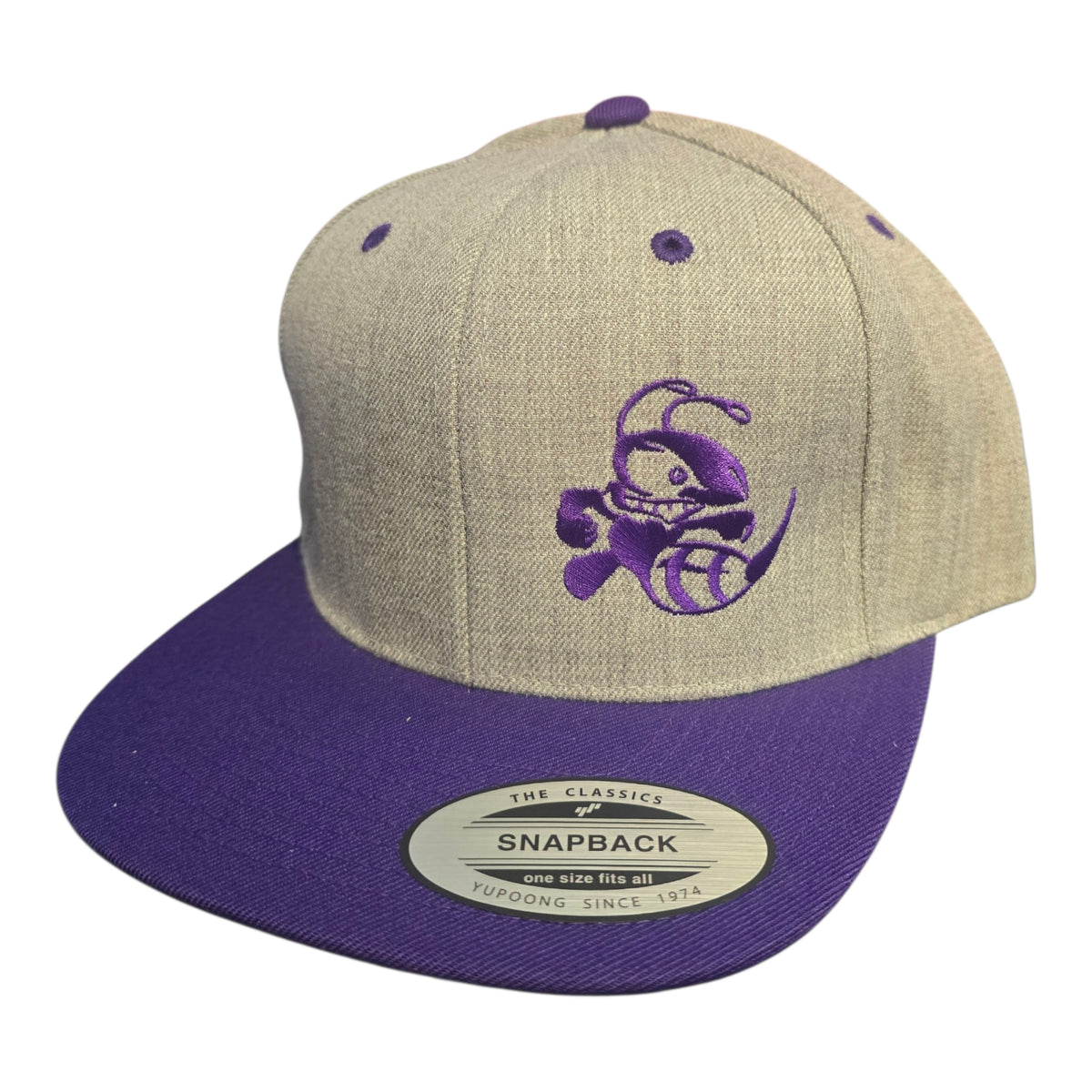 Discraft Buzzz Snapback Hat