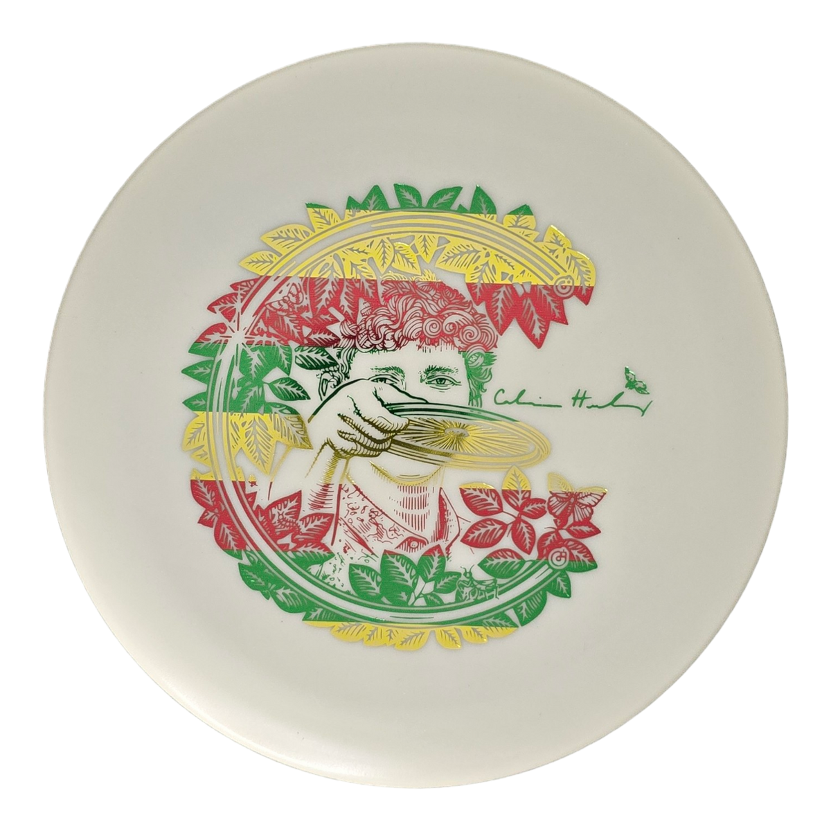 Innova KC Glow Aviar - Vinny Floral