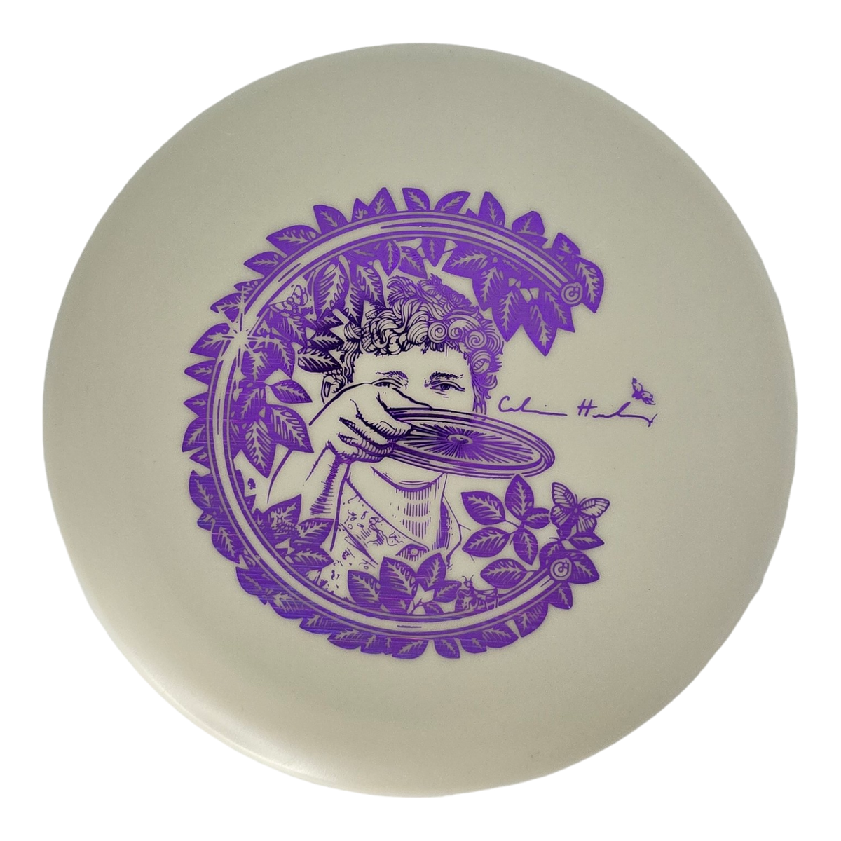 Innova KC Glow Aviar - Vinny Floral