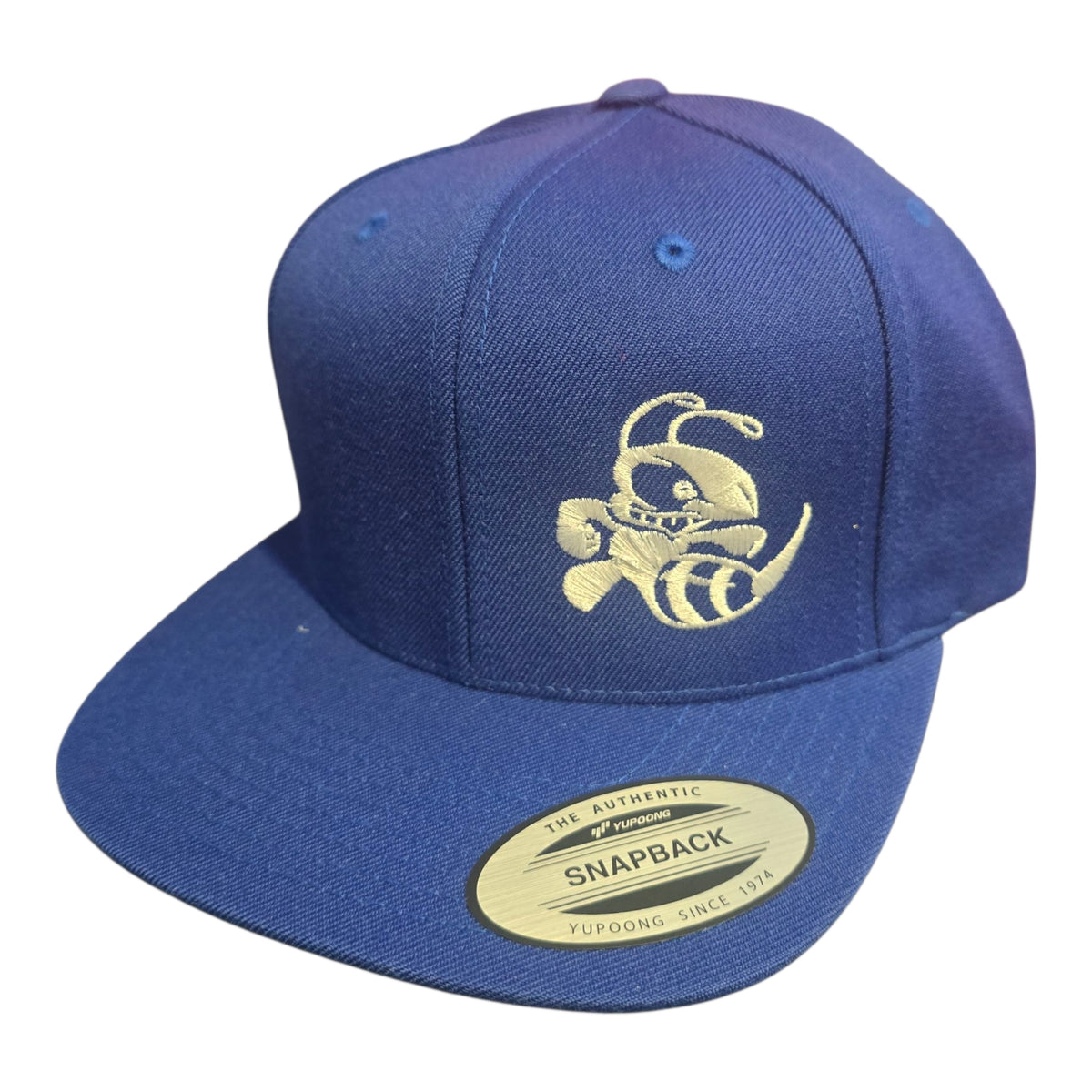 Discraft Buzzz Snapback Hat