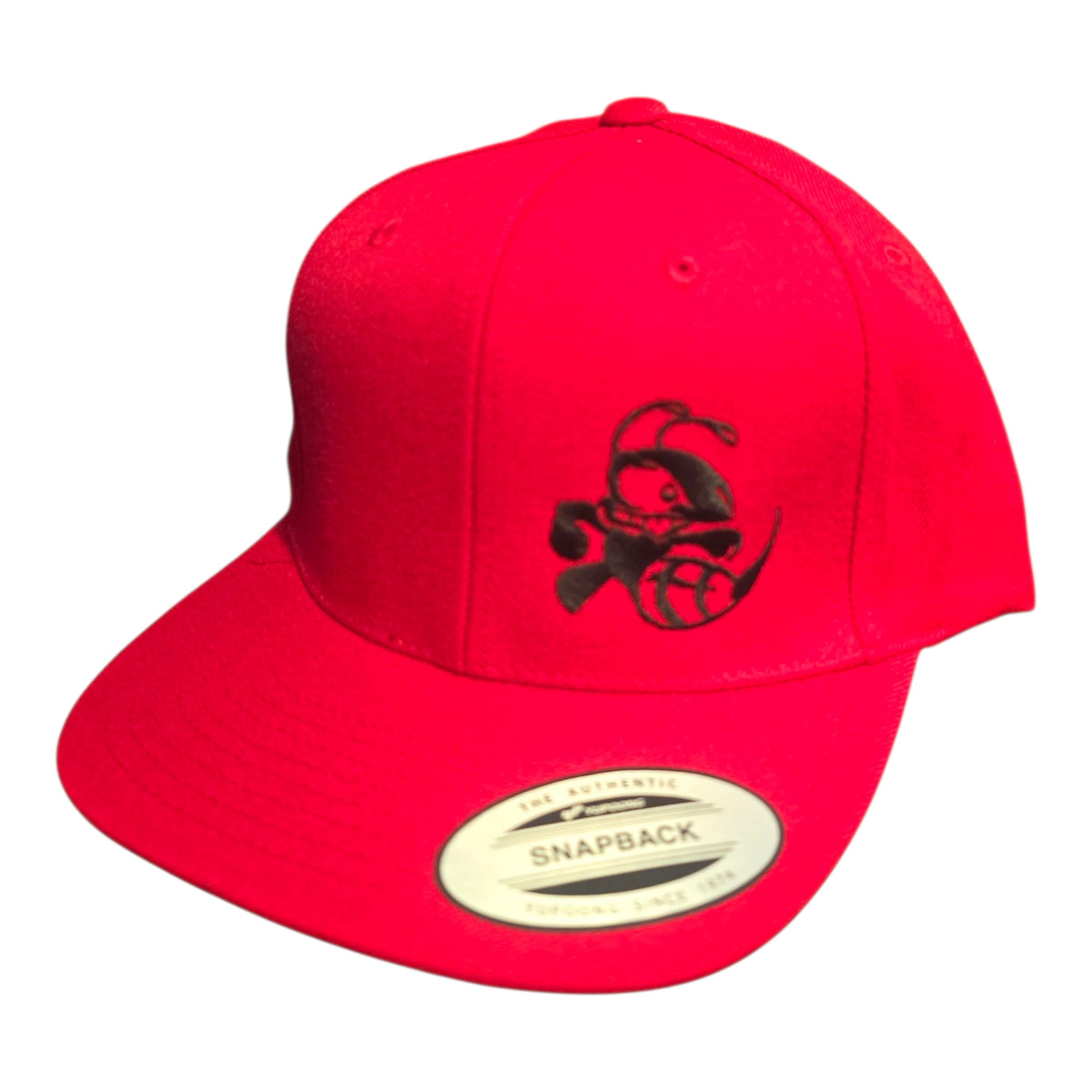 Discraft Buzzz Snapback Hat