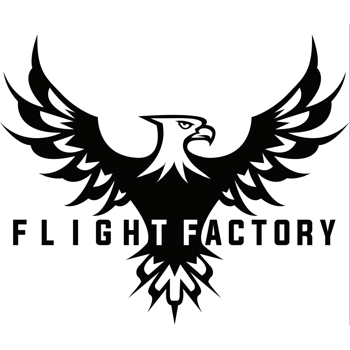 Flight Factory 32oz Insulated Water Bottle - Flight Factory Discs